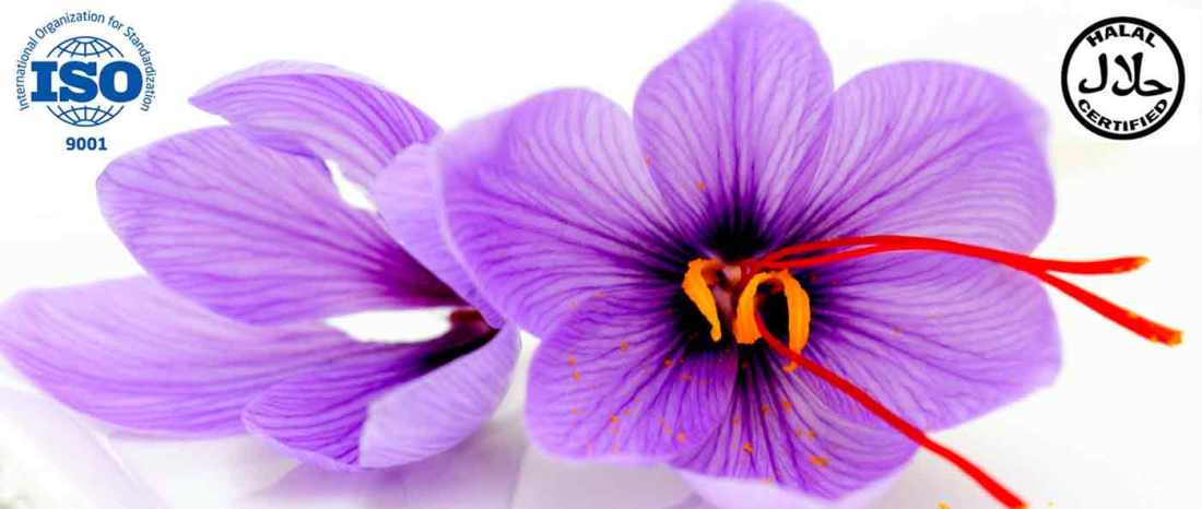 buy-saffron-spice-uk-best-price